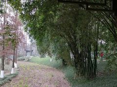 -重庆彩云湖湿地公园
