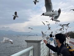 -滇池海埂公园