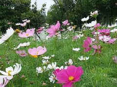 -艾溪湖湿地公园