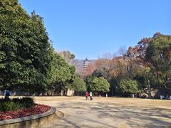 -灵谷景区