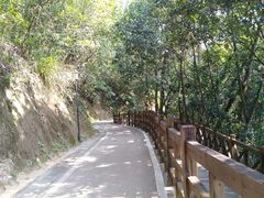 -广州市流溪河国家森林公园