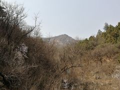 -北京鹫峰国家森林公园