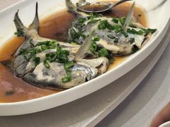 -苏启渔港(云南北路店)