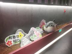 -肆月河豚·新淮扬菜·烤鸭(中关村店)