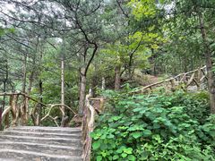 -罗田天堂寨风景区