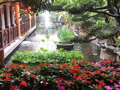 -猪肉婆私房菜(容桂总店)