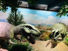 -国家自然博物馆