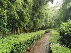 -天目湖涵田半山温泉