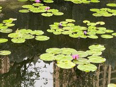 -星河湾半岛酒店-真粤中餐厅