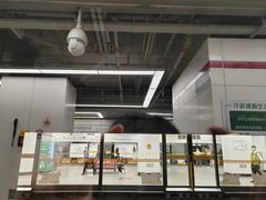 -东方体育中心(地铁站)