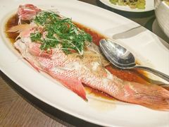 清蒸生猛海红鱼-北海银滩皇冠假日酒店-德丰楼中餐厅