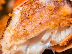 -松哥油焖大虾.小龙虾.黑鸭煲(海岸城店)