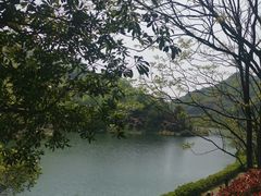 -桃花岭景区