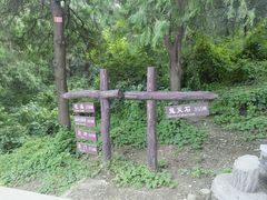 -北京西山国家森林公园