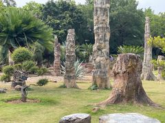 -深圳仙湖植物园