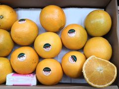 -上海龙吴水胜海发市场