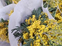 -循礼门鲜花花市(武汉循礼门店)