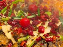 -老板恋上鱼(印象城店)