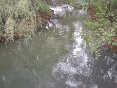 -深圳湾公园(南山区)