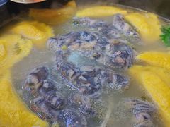 -鲜入围煮花胶鸡海鲜火锅