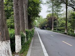 -中国湿地博物馆