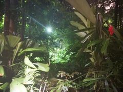 -夜间野生动物园