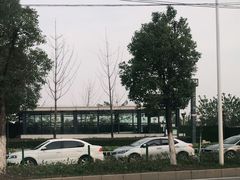 -盘龙城国家考古遗址公园