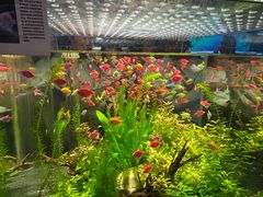 -云龙湖旅游景区