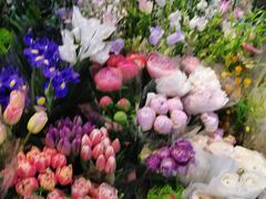 -花鸟鱼虫鲜花绿植市场(玉泉路店)