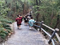 -紫金山山顶公园