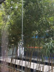 -爱儿美儿童摄影(朝阳公园店)