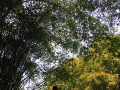 -凤栖山