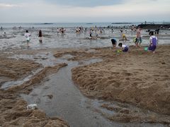 -巨鹏飞梦幻海岸