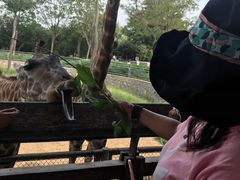 -石家庄市动物园