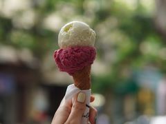 -Dip in Gelato(富民路店)