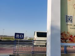 -金塔沙漠胡杨林景区