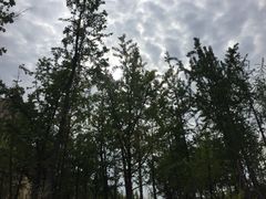 -府河摄影公园