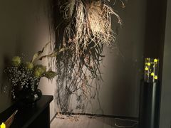 -安屿an·spa(卓悦中心商场店)