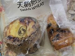 -海珠湖公园