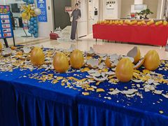 -红星美凯龙北京至尊MALL(东四环中路店)