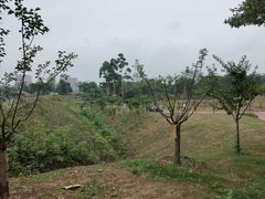 -白鹭湾湿地公园