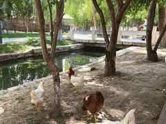 -春风习习