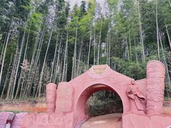 -蜀南竹海景区