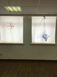 -爱尔乐美孕产瑜伽·普拉提