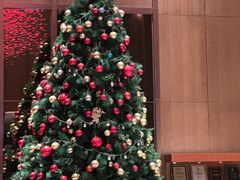 -嘉定凯悦·咖啡厅