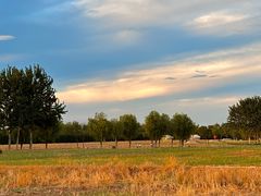 -汉长安城未央宫国家考古遗址公园