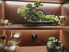 -聆耳·采耳·按摩·SPA(会展中心店)