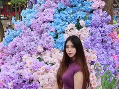 -洛阳白云山景区