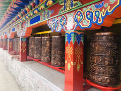 -郭莽湿地