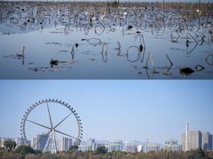 -庾园